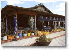 松本农园