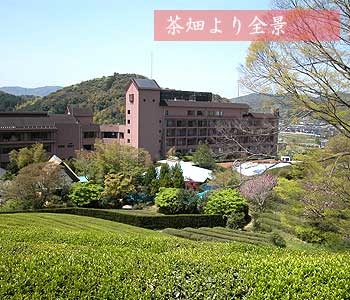 Century宾馆——邻望慧洲园的乐趣