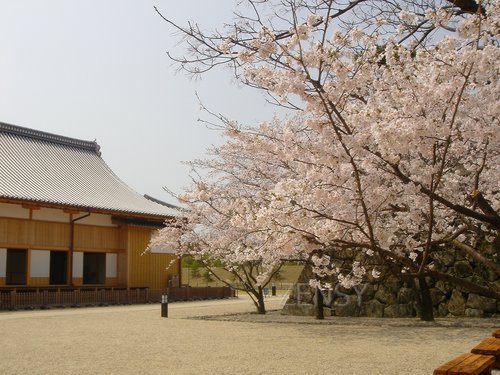 佐賀城本丸歴史館3