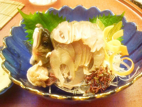 鲶鱼