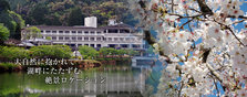 New Heart Pia宾馆——湖畔的温馨住宿