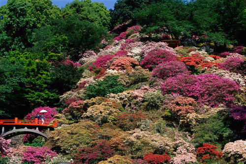 东山公园——四季花海洋