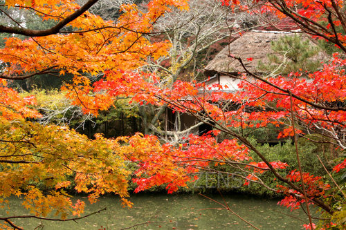 20121030_001.JPG