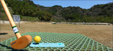 main-photo(4)