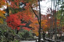 11月30日十可苑 (25)