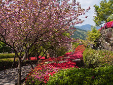 十可苑——锅岛家后花园