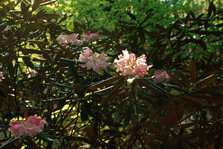 20121120.jpg