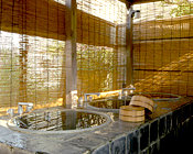 spa_p4
