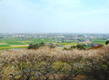 usio36