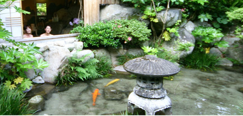 鹤灵泉——百分百元汤温泉