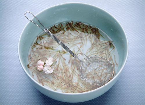 春季推荐——鲜美白鱼料理