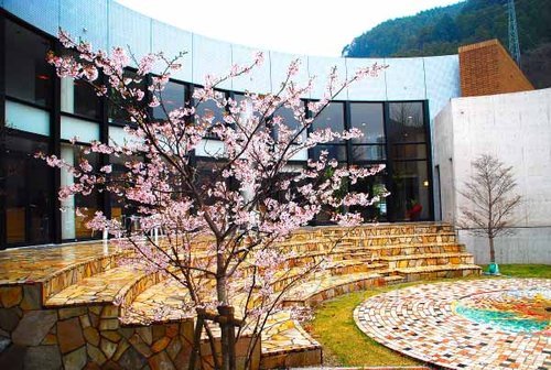 山华之正——一切顺其自然