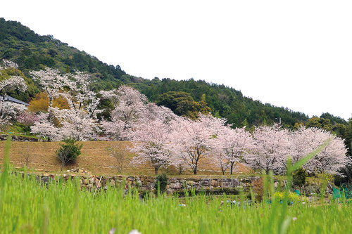 20130321.jpg