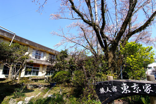 东京家——尽享温泉时光