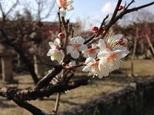 IMG_3803
