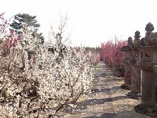 IMG_3806