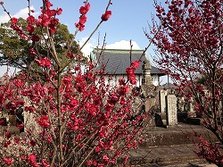 IMG_3809