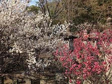 IMG_3811