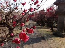 IMG_3814