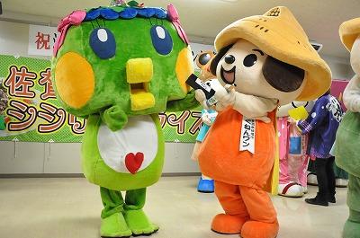 佐贺市吉祥物西西里·安娜酱生日