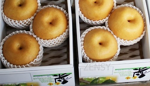 佐贺名梨