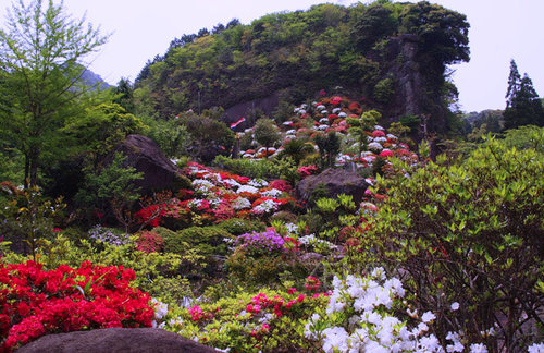 法安寺——“花之寺”