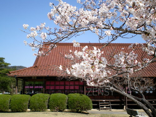 惣宬岞墍嶗2.JPG