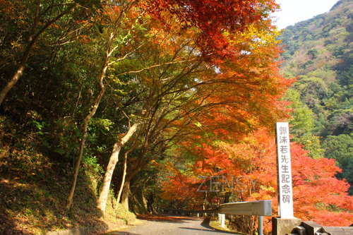 中日友好——郭沫若纪念碑