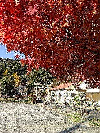 blog3 (1)