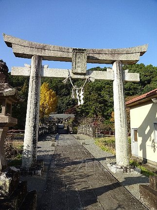 blog3 (3)