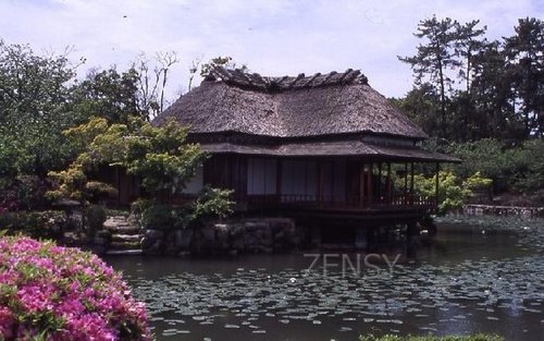 kiji2 (4)