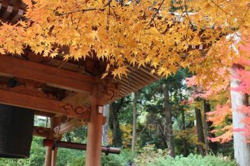 大兴善寺