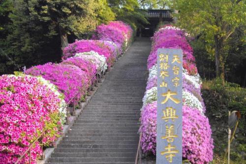 大兴善寺	