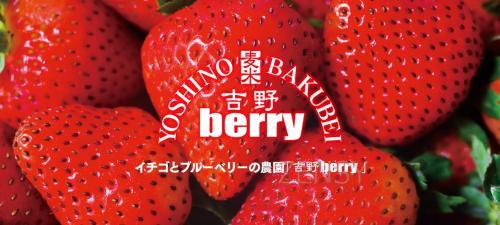 吉野Berry