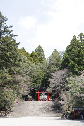 霧島神宮 (4).JPG