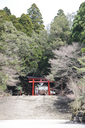 霧島神宮 (5).JPG