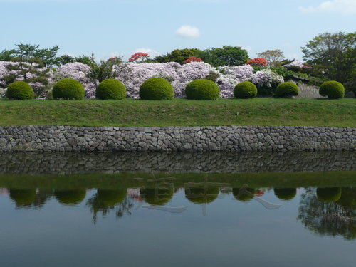 P1010447