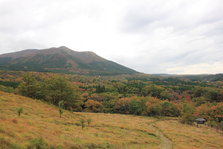 沿途风景