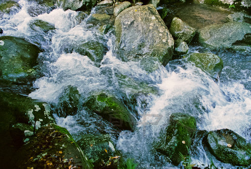 02167526.jpg