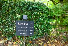 IMG_4586-2.jpg