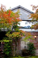 IMG_4630-2.jpg