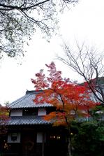IMG_4637-2.jpg