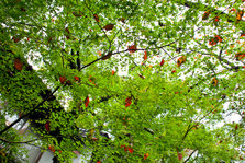 IMG_4713-2.jpg