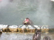 IMG_1754.jpg