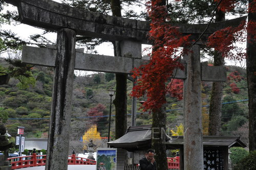 DSC_4358.JPG