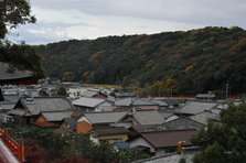 DSC_4452.JPG