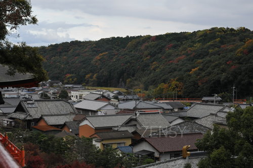 DSC_4452.JPG