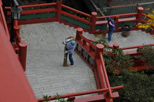 DSC_4456.JPG