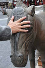 DSC_4512.JPG