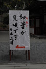 DSC_4519.JPG